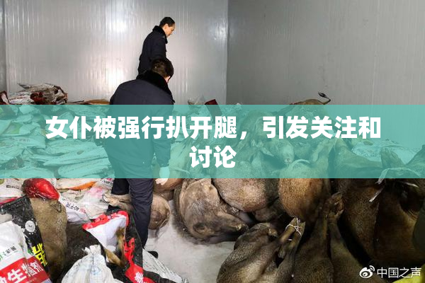 女仆被强行扒开腿，引发关注和讨论