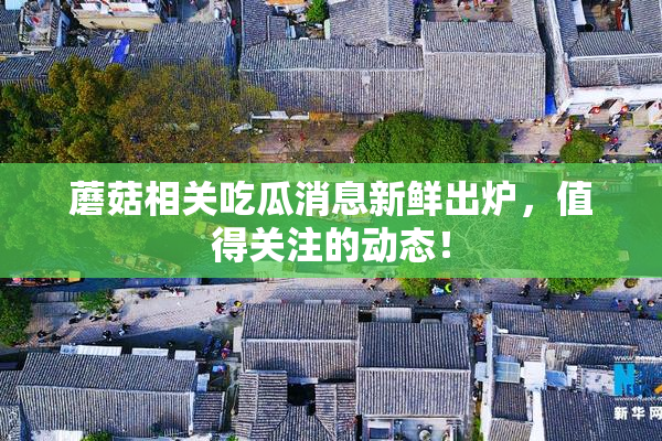 蘑菇相关吃瓜消息新鲜出炉，值得关注的动态！