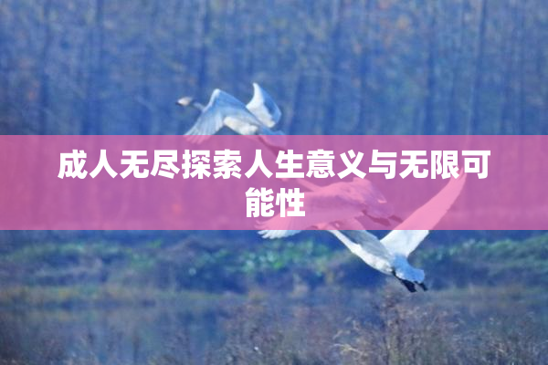 成人无尽探索人生意义与无限可能性