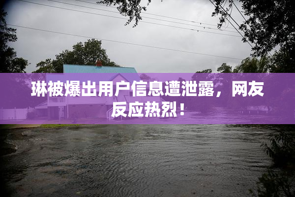 琳被爆出用户信息遭泄露，网友反应热烈！