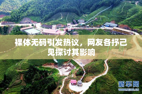 裸体无码引发热议，网友各抒己见探讨其影响