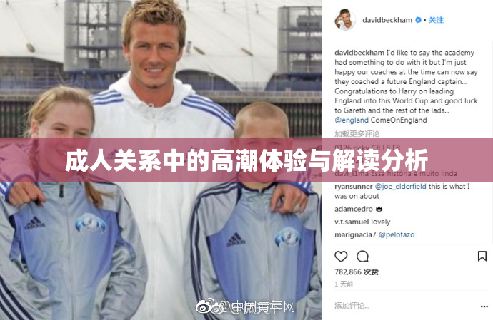 成人关系中的高潮体验与解读分析