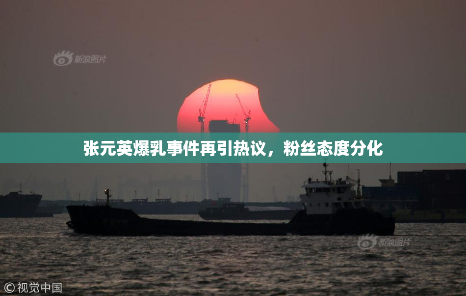 张元英爆乳事件再引热议，粉丝态度分化