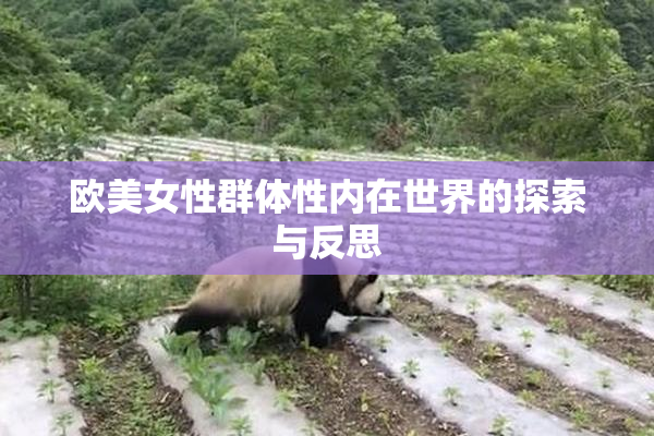 欧美女性群体性内在世界的探索与反思