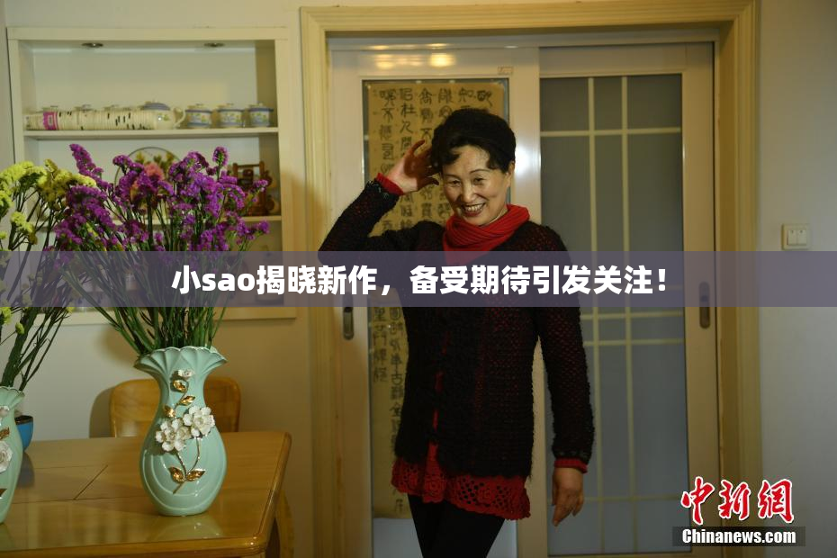 小sao揭晓新作，备受期待引发关注！