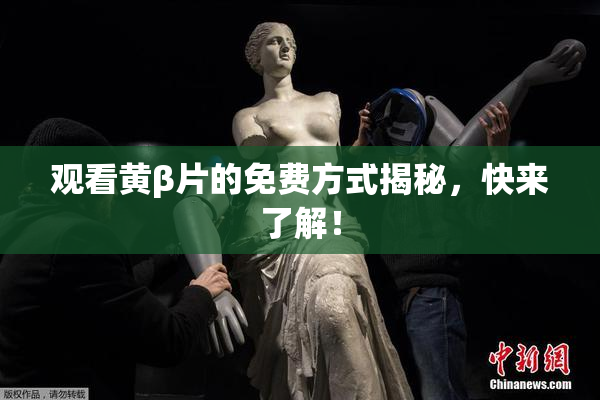 观看黄β片的免费方式揭秘，快来了解！
