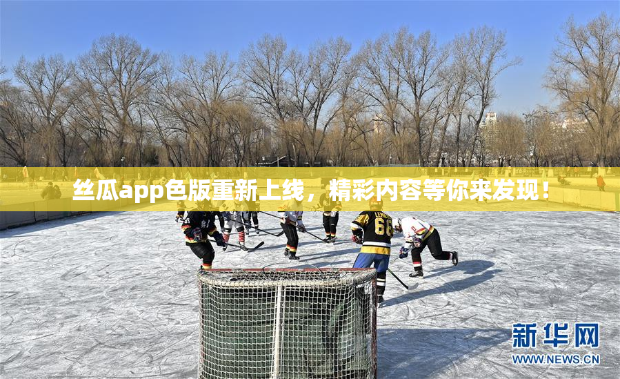 丝瓜app色版重新上线，精彩内容等你来发现！