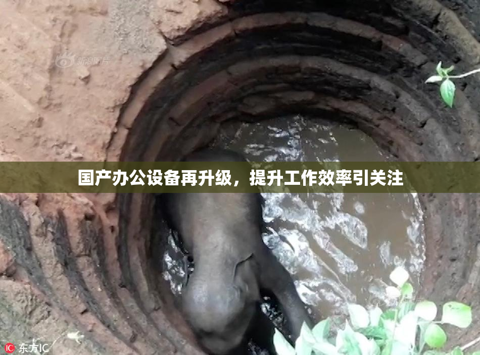 国产办公设备再升级，提升工作效率引关注