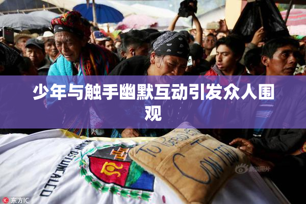 少年与触手幽默互动引发众人围观