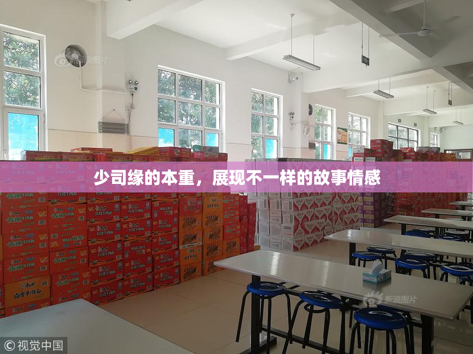 少司缘的本重，展现不一样的故事情感