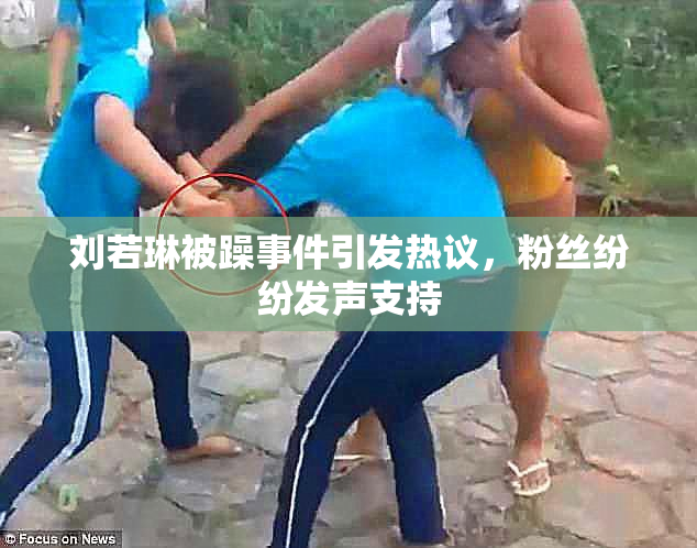 刘若琳被躁事件引发热议，粉丝纷纷发声支持