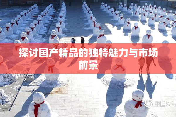 探讨国产精品的独特魅力与市场前景