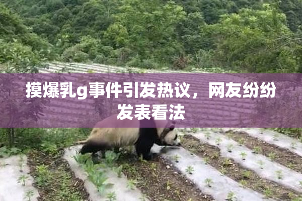 摸爆乳g事件引发热议，网友纷纷发表看法