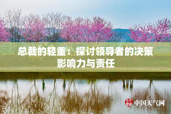 总裁的轻重：探讨领导者的决策影响力与责任
