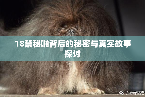 18禁秘啪背后的秘密与真实故事探讨