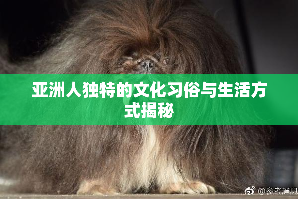 亚洲人独特的文化习俗与生活方式揭秘