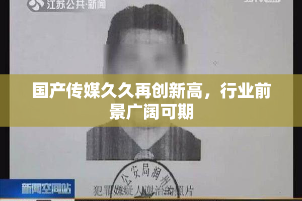 国产传媒久久再创新高，行业前景广阔可期