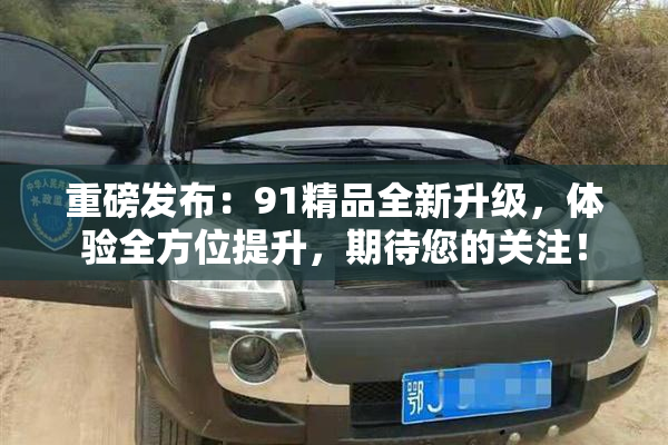 重磅发布：91精品全新升级，体验全方位提升，期待您的关注！
