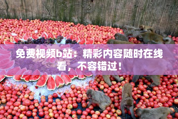 免费视频b站：精彩内容随时在线看，不容错过！