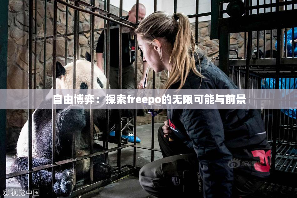 自由博弈：探索freepo的无限可能与前景