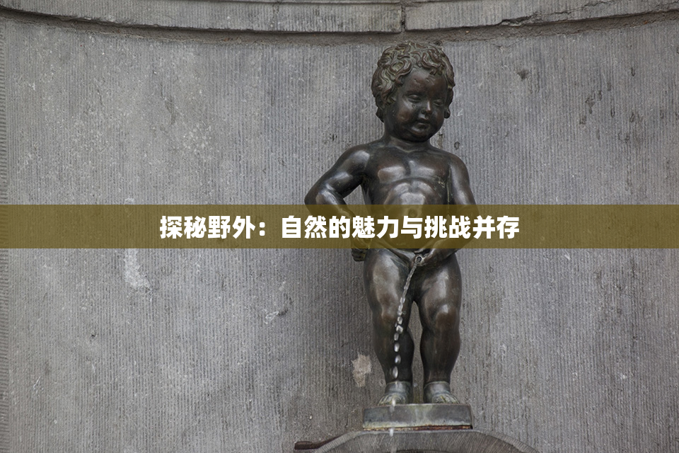 探秘野外：自然的魅力与挑战并存