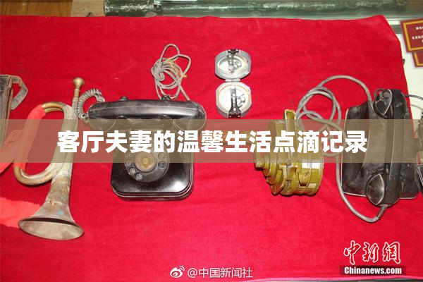 客厅夫妻的温馨生活点滴记录