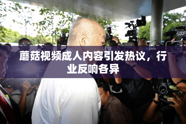 蘑菇视频成人内容引发热议，行业反响各异
