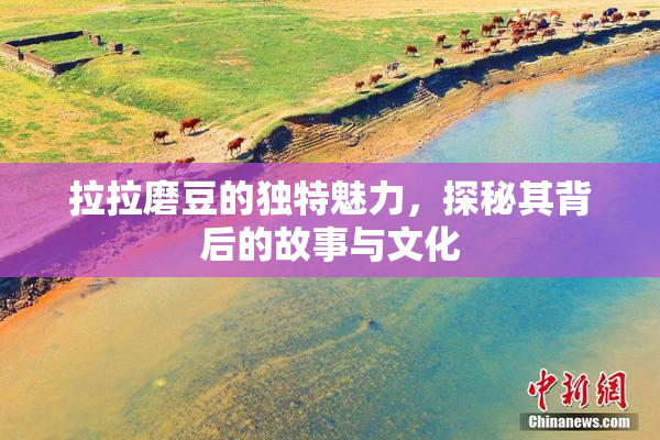 拉拉磨豆的独特魅力，探秘其背后的故事与文化