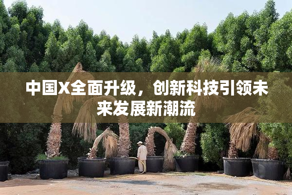 中国X全面升级，创新科技引领未来发展新潮流