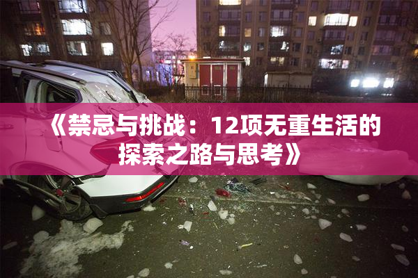 《禁忌与挑战：12项无重生活的探索之路与思考》