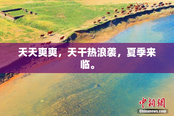 天天爽爽，天干热浪袭，夏季来临。