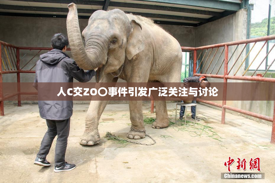 人C交ZO〇事件引发广泛关注与讨论