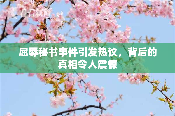 屈辱秘书事件引发热议，背后的真相令人震惊