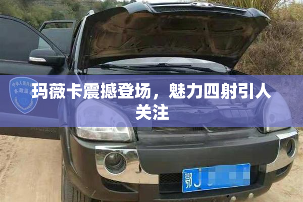 玛薇卡震撼登场，魅力四射引人关注