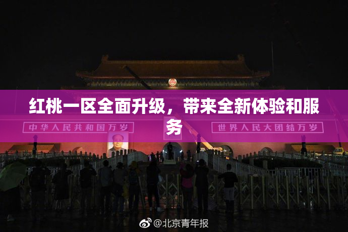 红桃一区全面升级，带来全新体验和服务