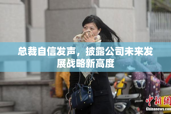总裁自信发声，披露公司未来发展战略新高度