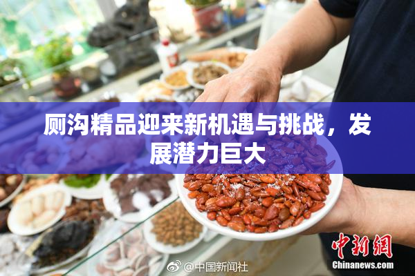 厕沟精品迎来新机遇与挑战，发展潜力巨大