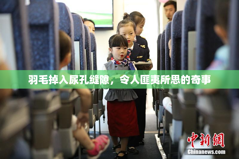 羽毛掉入尿孔缝隙，令人匪夷所思的奇事