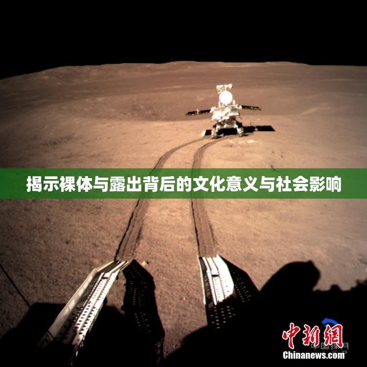 揭示裸体与露出背后的文化意义与社会影响