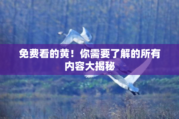 免费看的黄！你需要了解的所有内容大揭秘