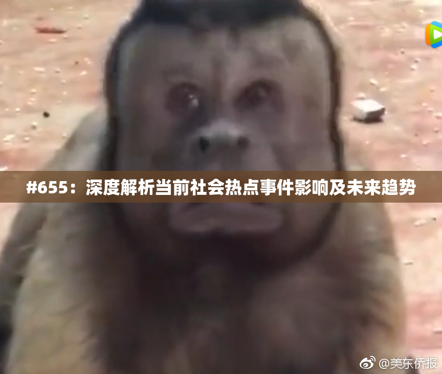 #655：深度解析当前社会热点事件影响及未来趋势