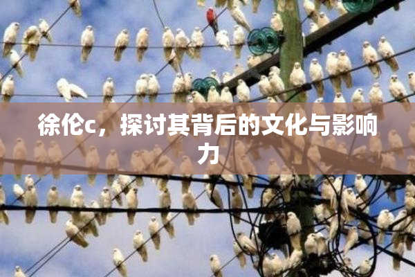 徐伦c，探讨其背后的文化与影响力