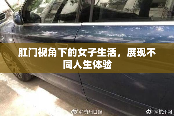 肛门视角下的女子生活，展现不同人生体验