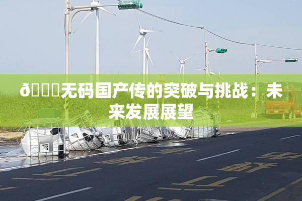 🔞无码国产传的突破与挑战：未来发展展望