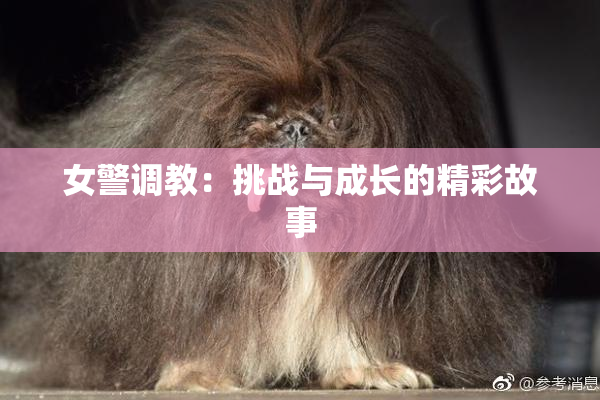 女警调教：挑战与成长的精彩故事