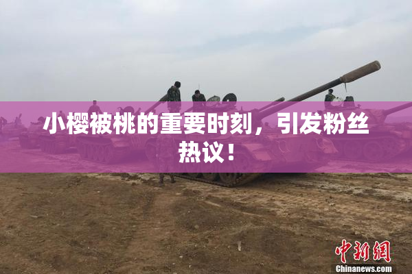 小樱被桃的重要时刻，引发粉丝热议！