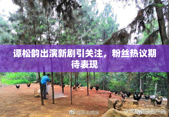 谭松韵出演新剧引关注，粉丝热议期待表现