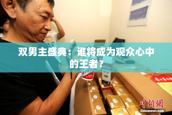 双男主盛典：谁将成为观众心中的王者？
