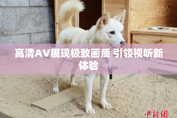 高清AV展现极致画质 引领视听新体验
