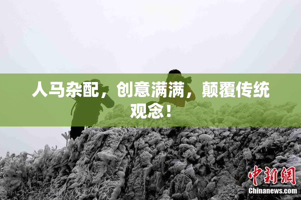 人马杂配，创意满满，颠覆传统观念！